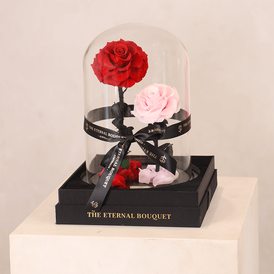 The Enchanted Duo - Red & Pink