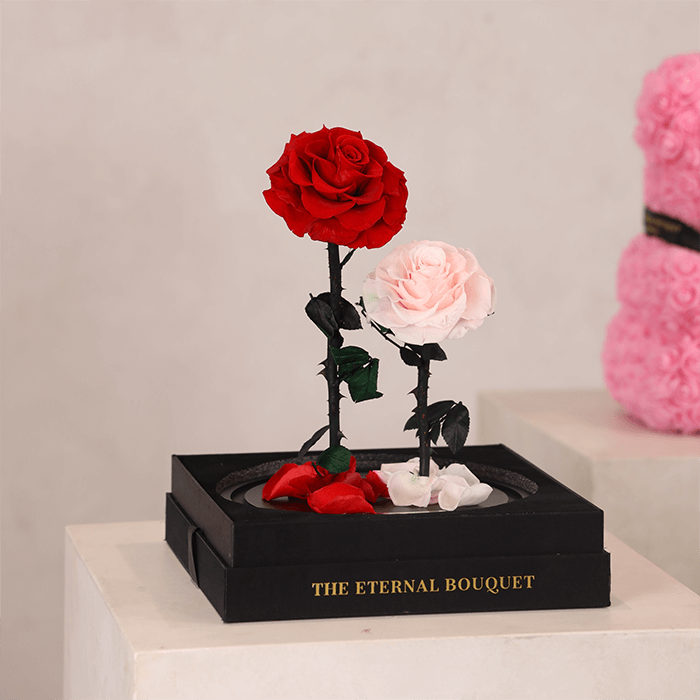 The Enchanted Duo - Red & Pink