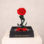 The Enchanted Rose - Red