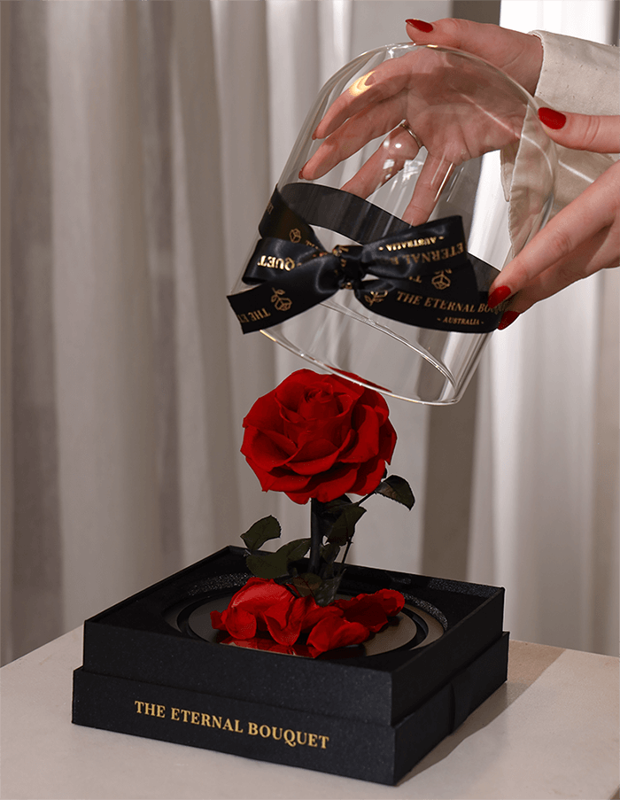 The Enchanted Mini - Red