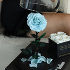 The Enchanted Rose - Sky Blue
