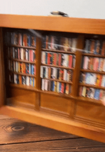 🏆Anxiety Bookshelf | Shake Away Your Anxiety
