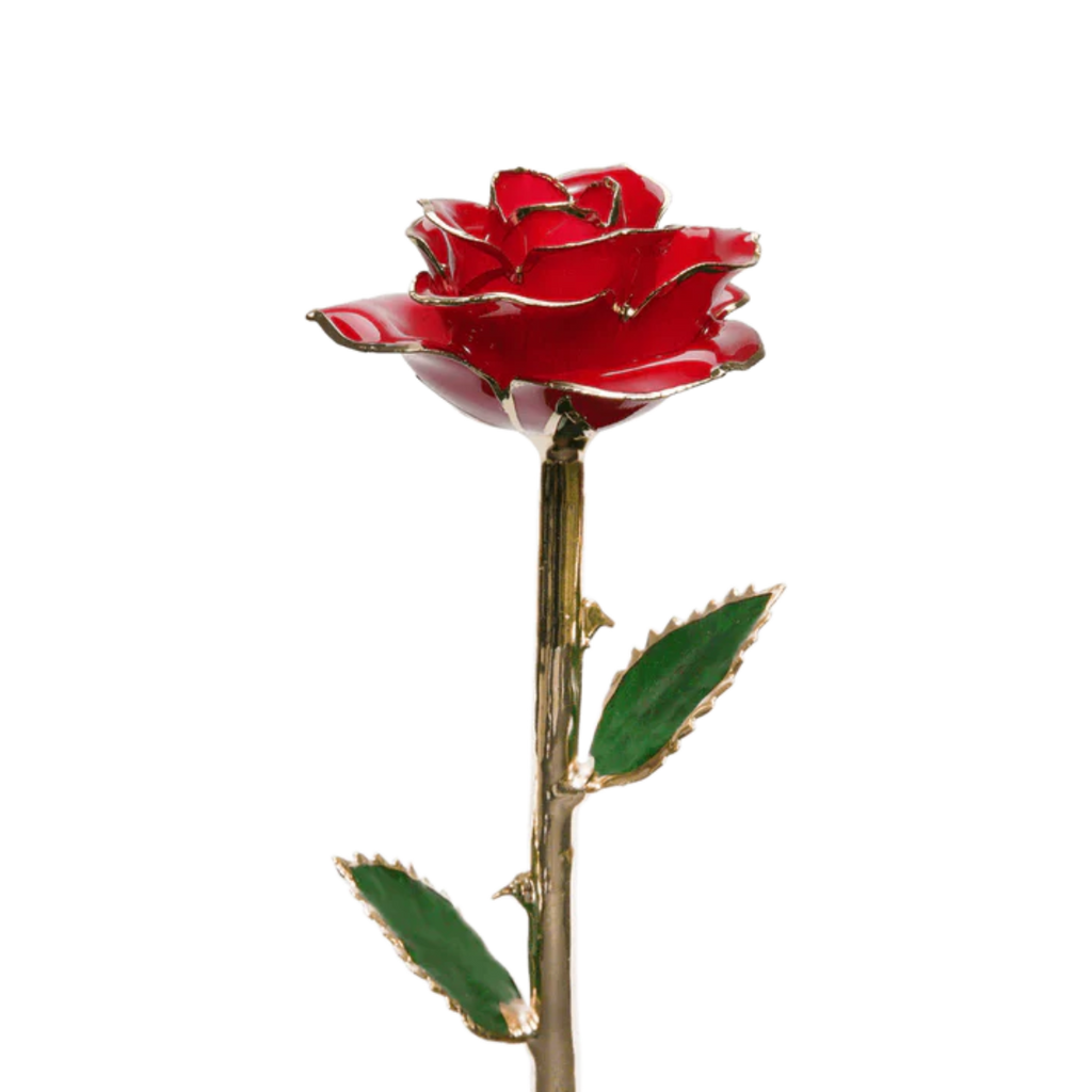 Golden 24k Rose