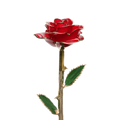Golden 24k Rose