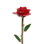 Golden 24k Rose