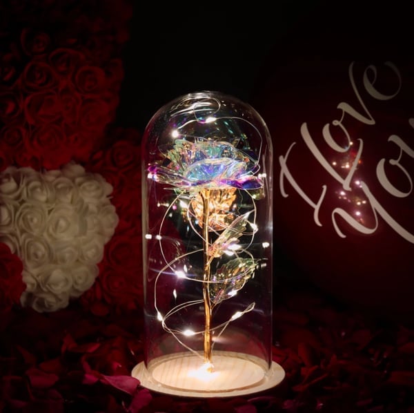 🌹Love Never Fade Rose❤️
