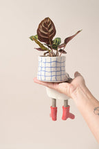 Creative furniture flower pot💋