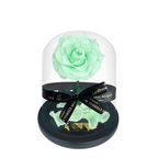 The Enchanted Mini - Mint