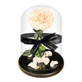 The Enchanted Rose - Champagne
