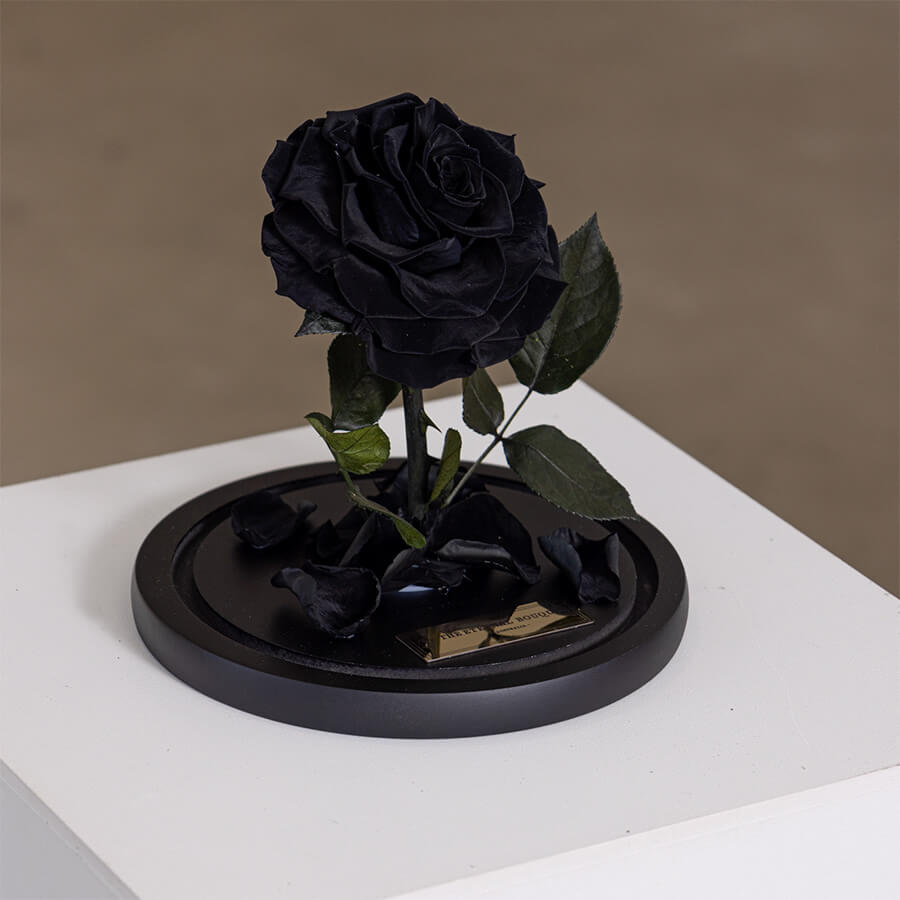 The Enchanted Mini - Black
