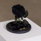 The Enchanted Mini - Black