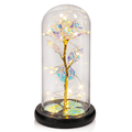 Galaxy Rose Display