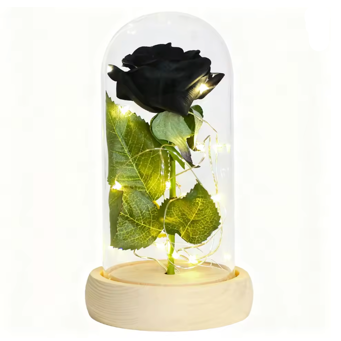 Truly Enchanted Rose