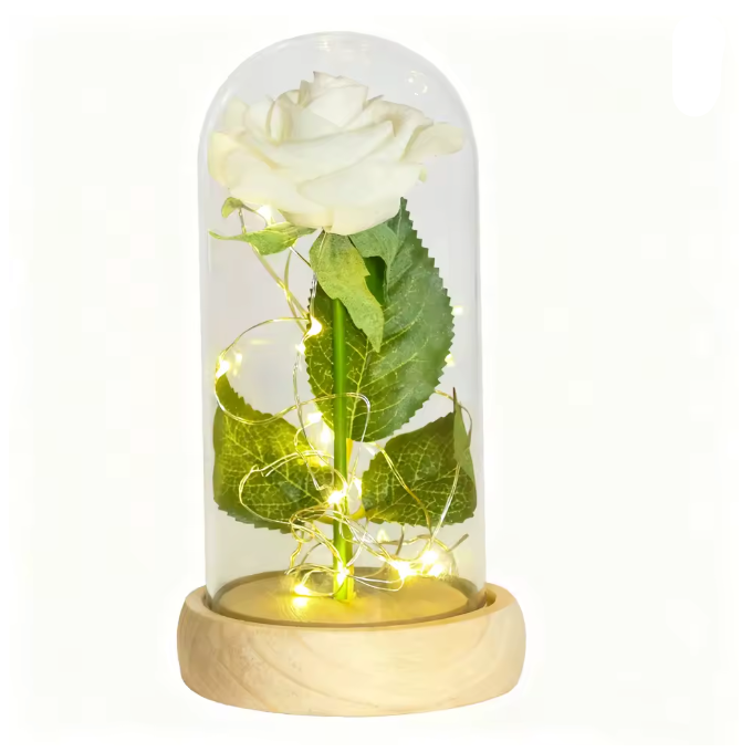 Truly Enchanted Rose