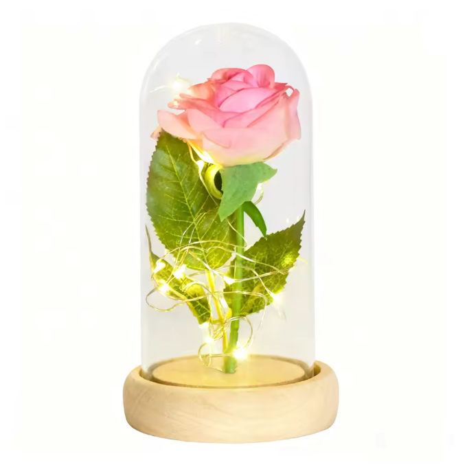 Truly Enchanted Rose