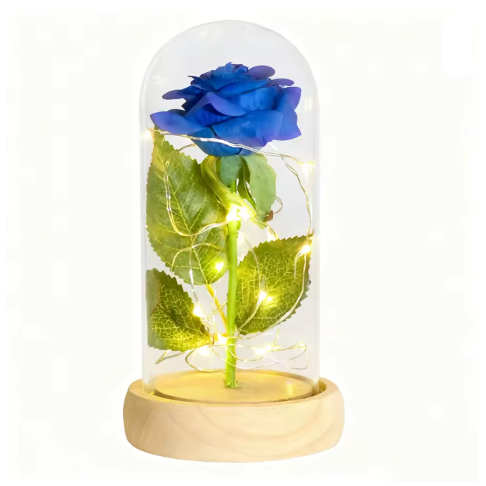 Truly Enchanted Rose