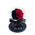 Enchanted Mini - Red & Black Blend
