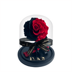 Enchanted Mini - Red & Black Blend