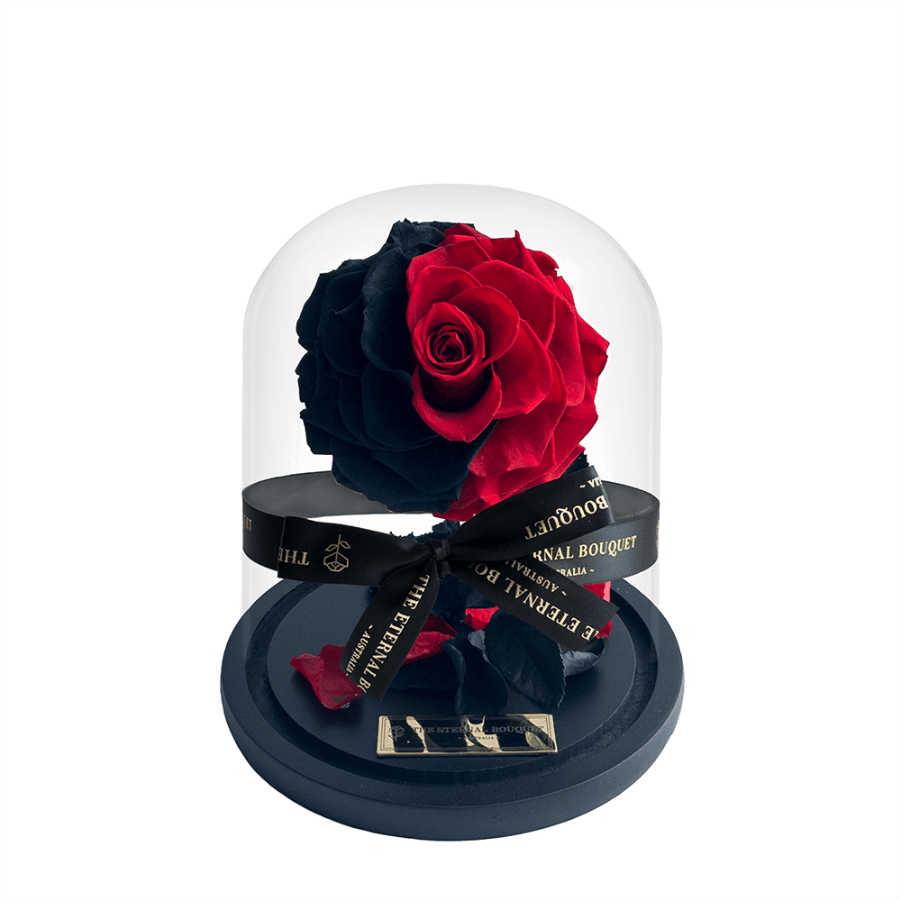 Enchanted Mini - Red & Black Blend