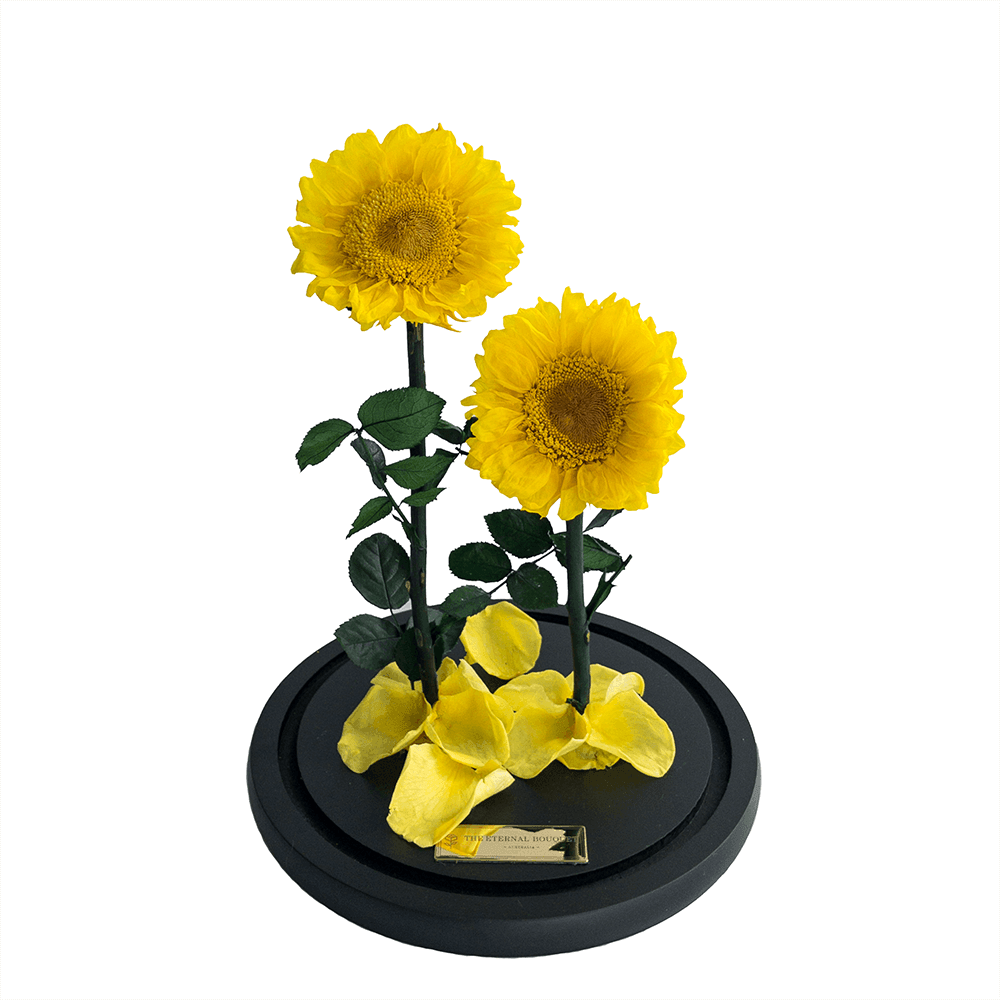 Eternal Sunflower Duo