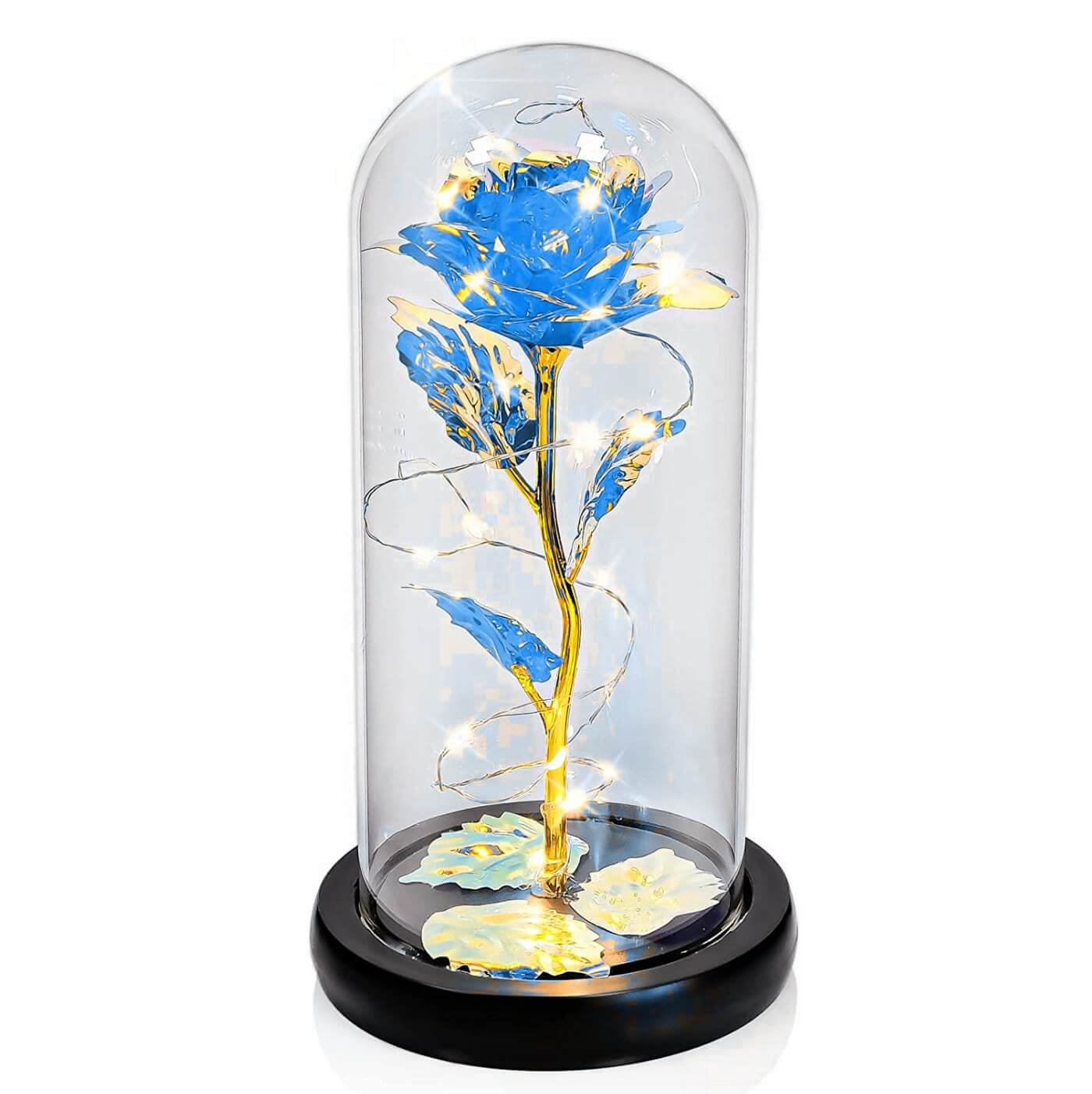 Galaxy Rose Display