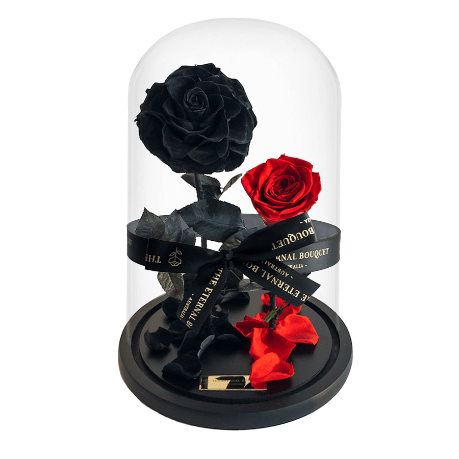 The Enchanted Duo - Black & Red