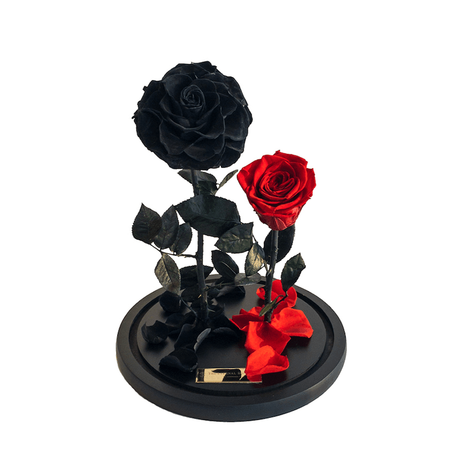 The Enchanted Duo - Black & Red