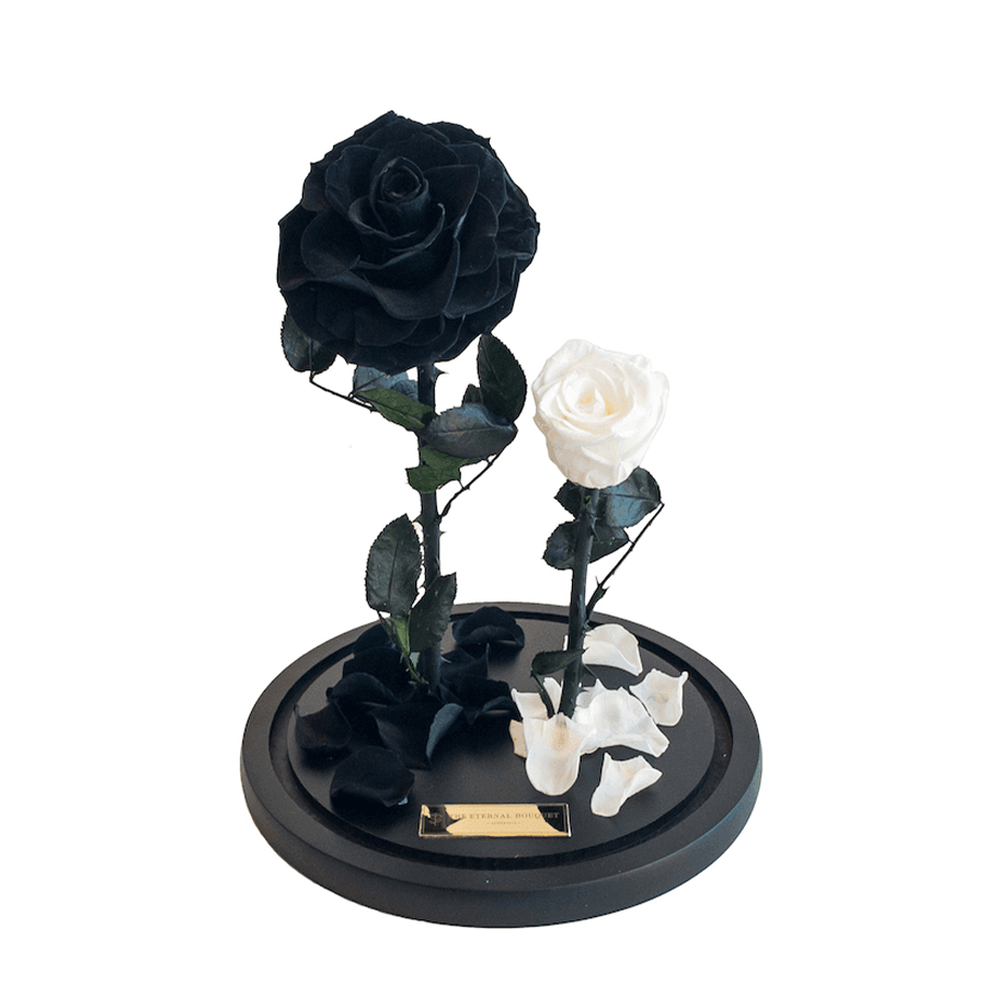 The Enchanted Duo - Black & White