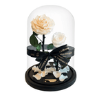 The Enchanted Duo - Champagne & White
