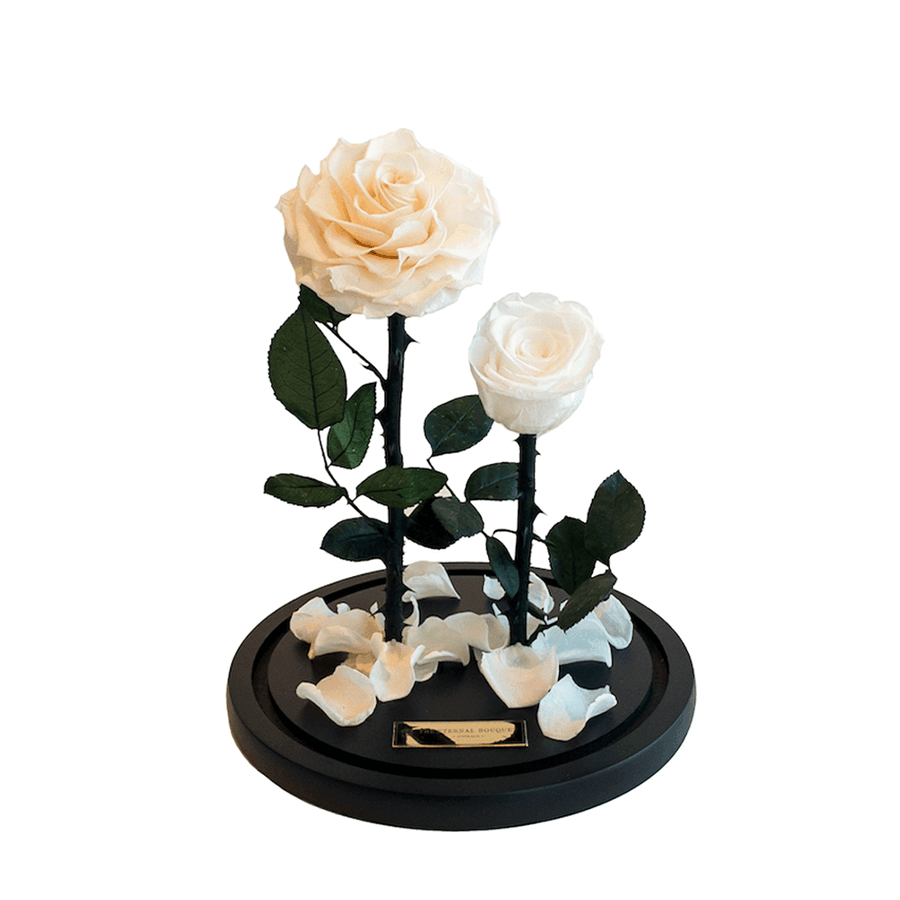 The Enchanted Duo - Champagne & White