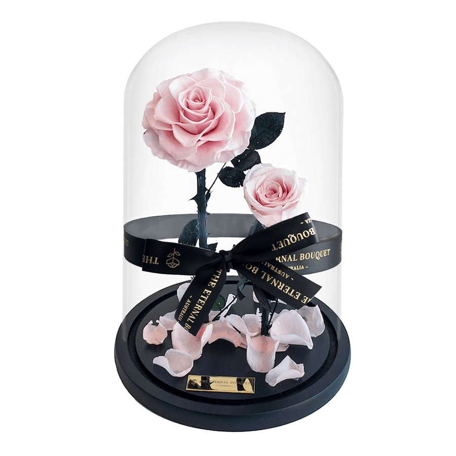 The Enchanted Duo - Pink & Pink