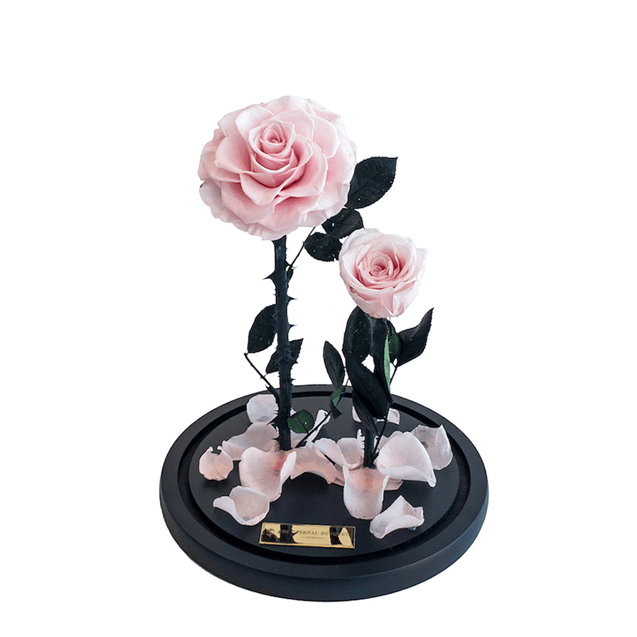 The Enchanted Duo - Pink & Pink