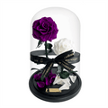 The Enchanted Duo - Purple & White