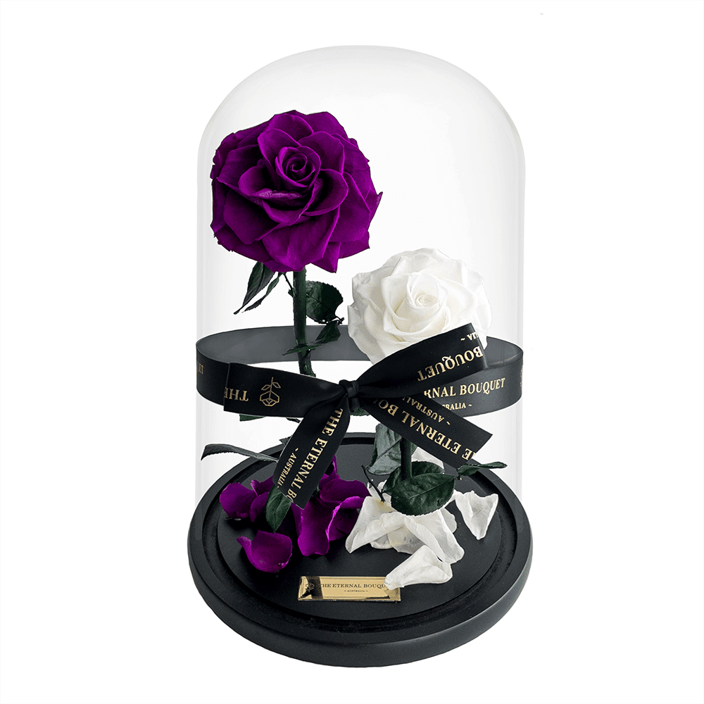 The Enchanted Duo - Purple & White