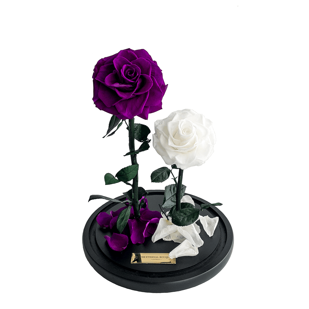 The Enchanted Duo - Purple & White