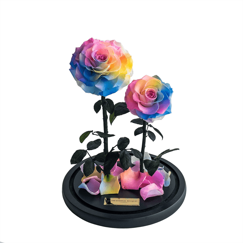 The Enchanted Duo - Rainbow & Rainbow