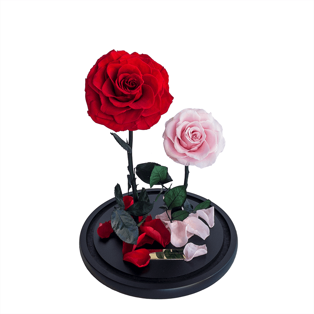 The Enchanted Duo - Red & Pink