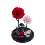 The Enchanted Duo - Red & Pink