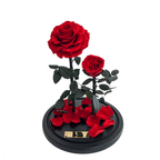 The Enchanted Duo - Red & Red