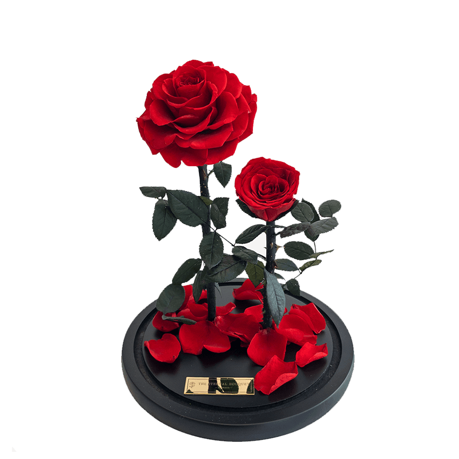 The Enchanted Duo - Red & Red