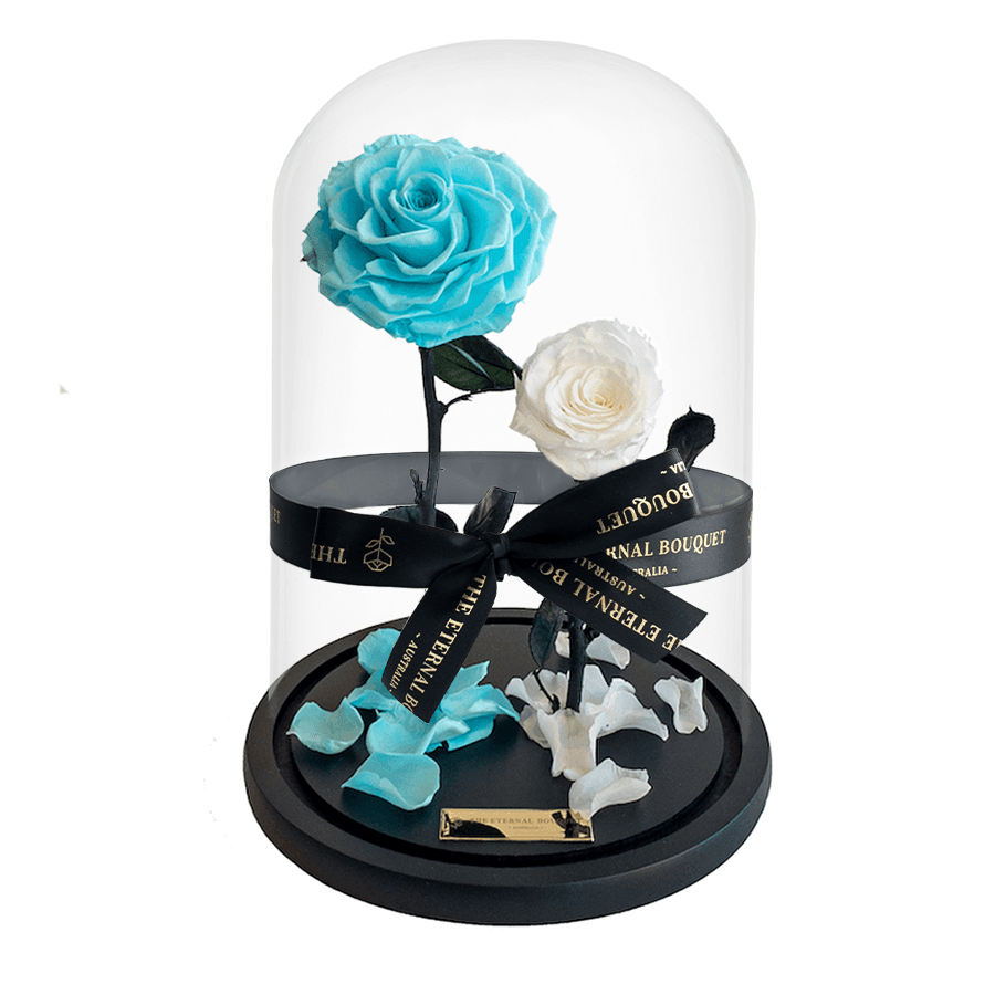 The Enchanted Duo - Tiffany & White