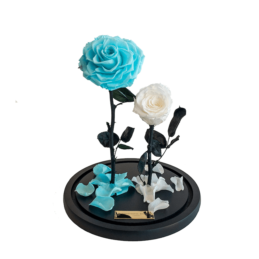The Enchanted Duo - Tiffany & White