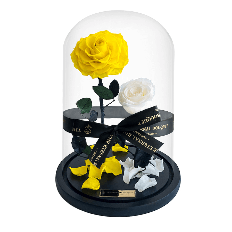 The Enchanted Duo - Yellow & White