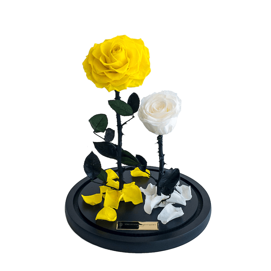 The Enchanted Duo - Yellow & White