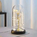 The Enchanted Galaxy Rose - White