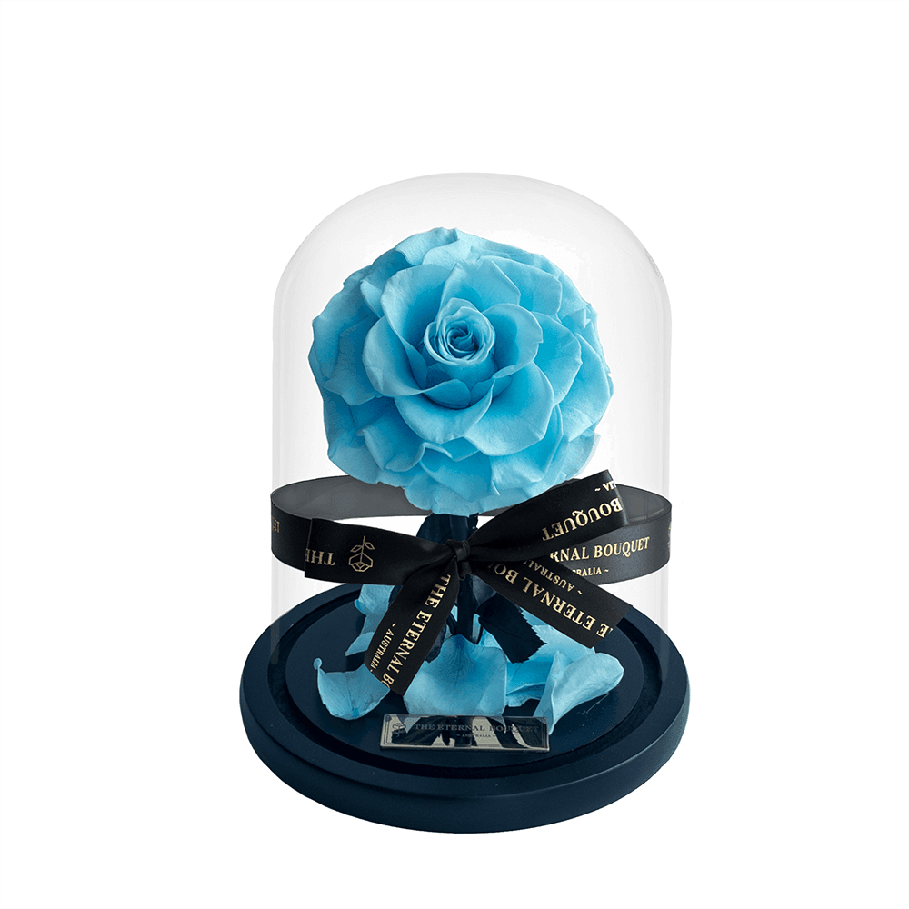 The Enchanted Mini - Baby Blue