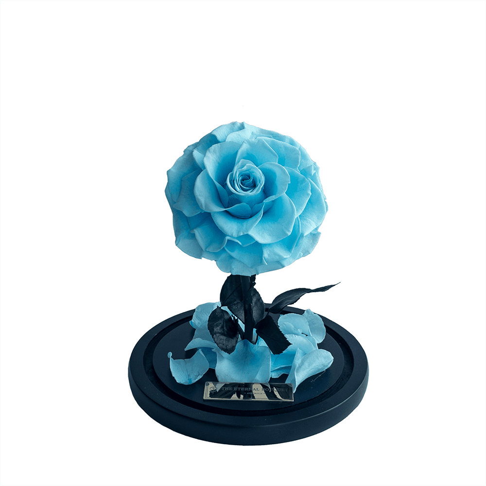 The Enchanted Mini - Baby Blue