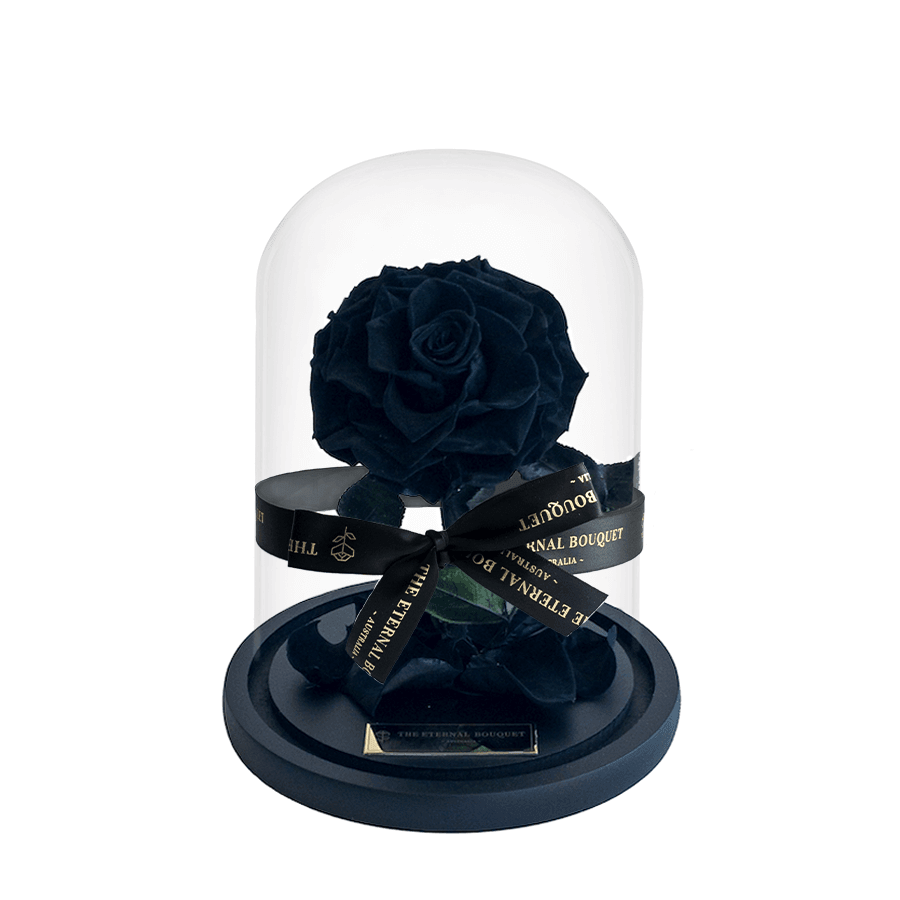 The Enchanted Mini - Black