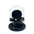 The Enchanted Mini - Black