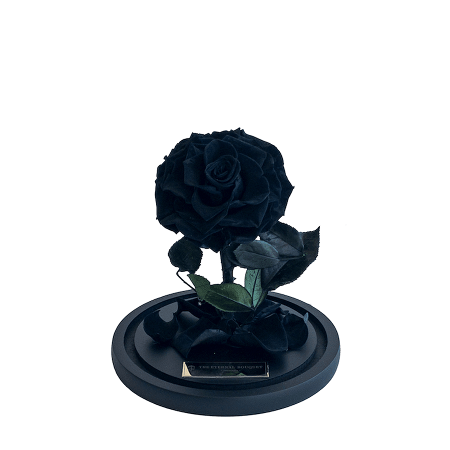 The Enchanted Mini - Black